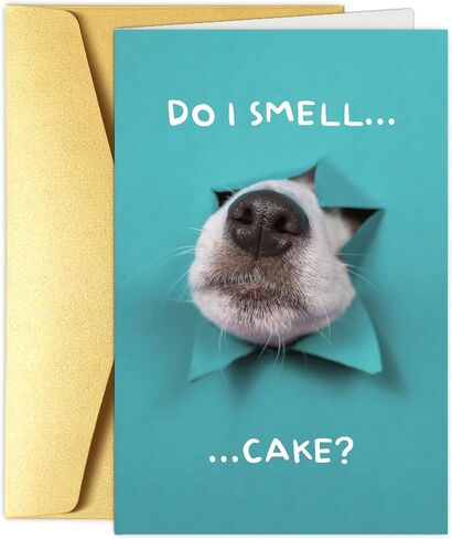 Funny Dog Birthday Cake Card, Cute Birthday Card from Dogs, Humor Dog Peeking Through Card, Do I Smell... Cake? in Kuwait