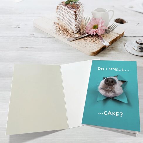 Funny Dog Birthday Cake Card, Cute Birthday Card from Dogs, Humor Dog Peeking Through Card, Do I Smell... Cake? in Kuwait