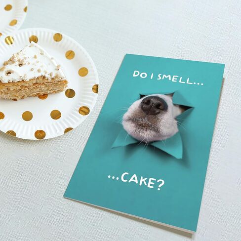 Funny Dog Birthday Cake Card, Cute Birthday Card from Dogs, Humor Dog Peeking Through Card, Do I Smell... Cake? in Kuwait