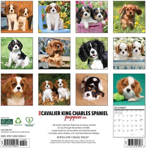 Cavalier King Charles Spaniel Puppies 2026 12 "× 12" تقويم الجدار in Saudi Arabia