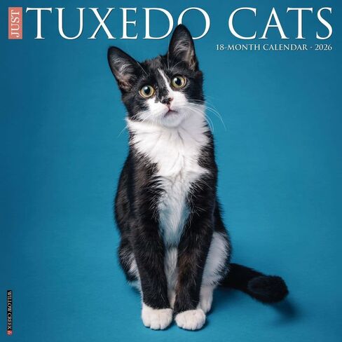 Tuxedo Cats 2026 12 "× 12" تقويم الحائط in Saudi Arabia
