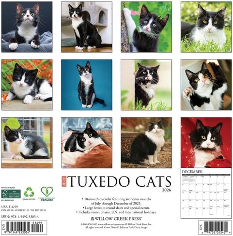 Tuxedo Cats 2026 12 "× 12" تقويم الحائط in Saudi Arabia