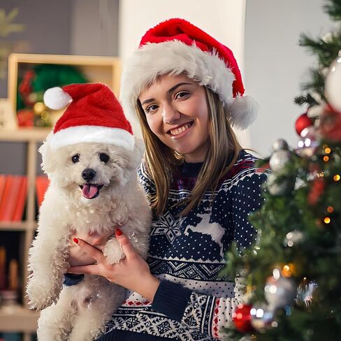 6 PCS Mini Santa Hat for Dogs Christmas Party ، قبعات سانتا الصغيرة القابلة للتعديل للحرف اليدوية ، قبعات Santas الصغيرة الدعائم - قبعة عيد الميلاد الحمراء والبيضاء للحيوانات الأليفة Cat Cat Histent in Kuwait