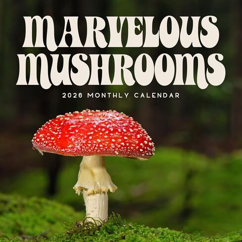 Mushroom Calendar 2026 | Marvelous Mushrooms Wall Calendar | 12" x 24" | Marble City Press | Fungi and Foraging, Fungus ID Facts, Mycology Tips | Small Family Owned Business | Sustainable Plastic Free Packaging, Thick Art Paper in Kuwait