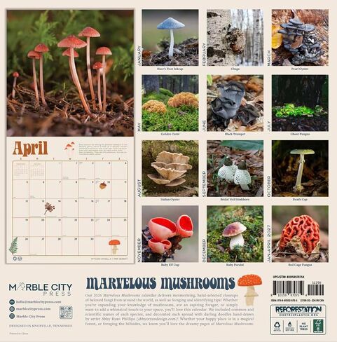 Mushroom Calendar 2026 | Marvelous Mushrooms Wall Calendar | 12" x 24" | Marble City Press | Fungi and Foraging, Fungus ID Facts, Mycology Tips | Small Family Owned Business | Sustainable Plastic Free Packaging, Thick Art Paper in Kuwait