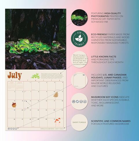 Mushroom Calendar 2026 | Marvelous Mushrooms Wall Calendar | 12" x 24" | Marble City Press | Fungi and Foraging, Fungus ID Facts, Mycology Tips | Small Family Owned Business | Sustainable Plastic Free Packaging, Thick Art Paper in Kuwait
