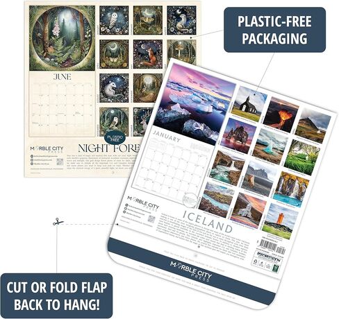 Mushroom Calendar 2026 | Marvelous Mushrooms Wall Calendar | 12" x 24" | Marble City Press | Fungi and Foraging, Fungus ID Facts, Mycology Tips | Small Family Owned Business | Sustainable Plastic Free Packaging, Thick Art Paper in Kuwait