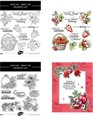 Christmas Clear Stamps Poinsettia Xmas Gifts Transparent Silicone Stamp Ink Stamps Seal for Card Making DIY Scrapbooking Decoration Photo Album Crafts 5.9x7.87inch (Christmas) in Saudi Arabia