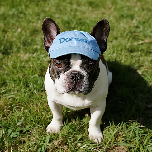 Personalized Hats for Dogs with Embroidered Name Custom Small Medium Large Dog Cat Hat with Ear Holes Adjustable Dog Cap in Kuwait