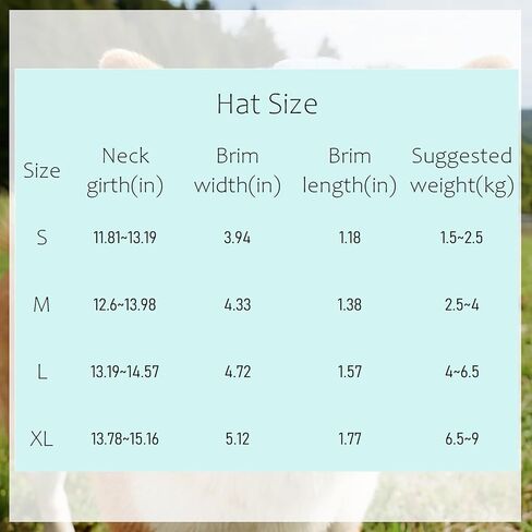 Personalized Hats for Dogs with Embroidered Name Custom Small Medium Large Dog Cat Hat with Ear Holes Adjustable Dog Cap in Kuwait