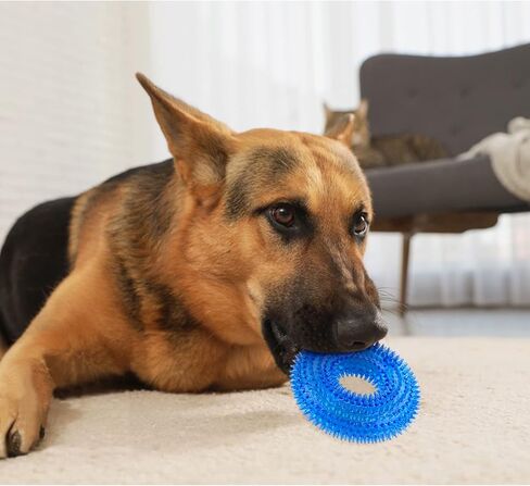 Andiker Squeaky Dog Toy, Safe TPR Chewable Dog Toys for Teeth Grinding&Cleaning Dog Fetch Toys for Enhancing Interactivity Outdoor Suitable for All Dog Sizes Puppy’s Gifts and Dog Lovers (Small) in Saudi Arabia