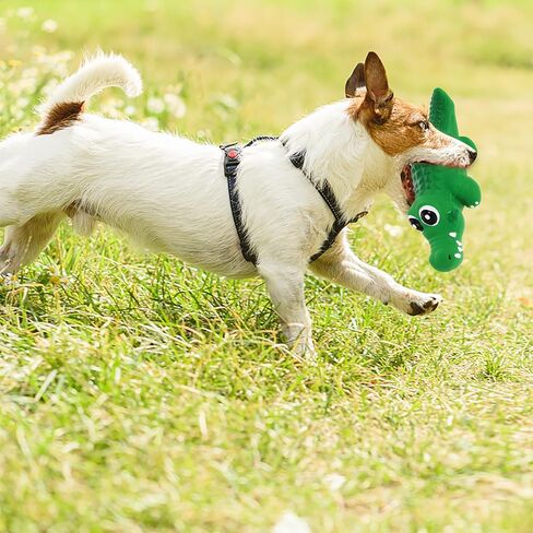 لعبة Logofun Doceaky Toy Latex Crocodile Dog Puting Toy Latex Puppy Toy Toy With Squeaker Cartoon Animal Toy for Pet Supplies - Green in Saudi Arabia