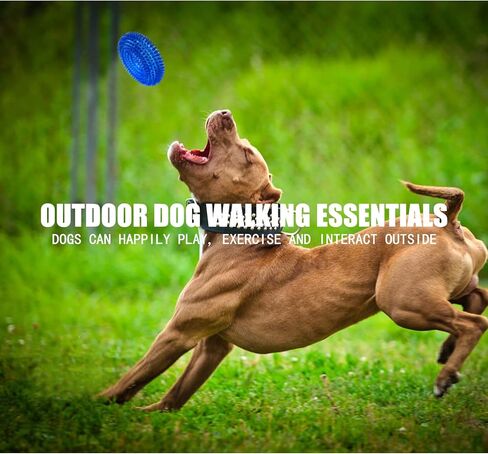 Andiker Squeaky Dog Toy, Safe TPR Chewable Dog Toys for Teeth Grinding&Cleaning Dog Fetch Toys for Enhancing Interactivity Outdoor Suitable for All Dog Sizes Puppy’s Gifts and Dog Lovers (Small) in Saudi Arabia