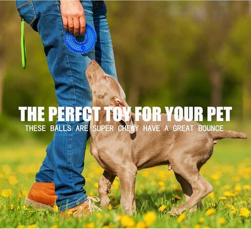 Andiker Squeaky Dog Toy, Safe TPR Chewable Dog Toys for Teeth Grinding&Cleaning Dog Fetch Toys for Enhancing Interactivity Outdoor Suitable for All Dog Sizes Puppy’s Gifts and Dog Lovers (Small) in Saudi Arabia