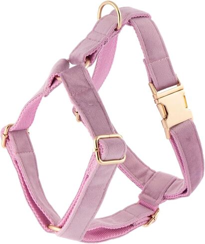 Lavender Velvet Dog Set, Luxury Outfit with Cute Collar, Chest Harness, Leash – Tailored for for Small, Medium, and Large Breeds, Complete with A Stylish Bow Tie and Exclusive Dog Poop Bag (XS) in Saudi Arabia