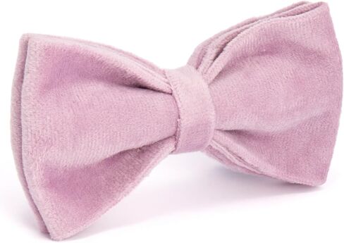 Lavender Velvet Dog Set, Luxury Outfit with Cute Collar, Chest Harness, Leash – Tailored for for Small, Medium, and Large Breeds, Complete with A Stylish Bow Tie and Exclusive Dog Poop Bag (XS) in Saudi Arabia