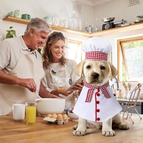 3 PCS Dog Chef Costume Chors تشمل ملابس قبعة الطهاة الكلب مع وشاح أحمر وأبيض منقوشة ملابس مضحكة ملابس عيد الهالوين للحيوانات الأليفة الصغيرة المتوسطة الكلاب (صغيرة) (صغيرة) in Kuwait