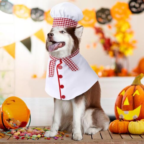 3 PCS Dog Chef Costume Chors تشمل ملابس قبعة الطهاة الكلب مع وشاح أحمر وأبيض منقوشة ملابس مضحكة ملابس عيد الهالوين للحيوانات الأليفة الصغيرة المتوسطة الكلاب (صغيرة) (صغيرة) in Kuwait