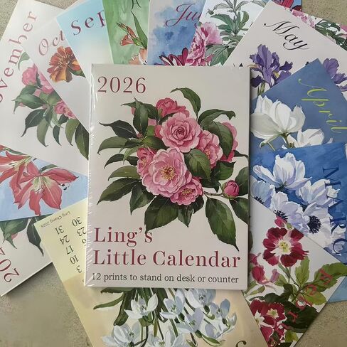 Ling Chang Little Calendar refill 2026 Desk Calendar 5x7 " in Saudi Arabia
