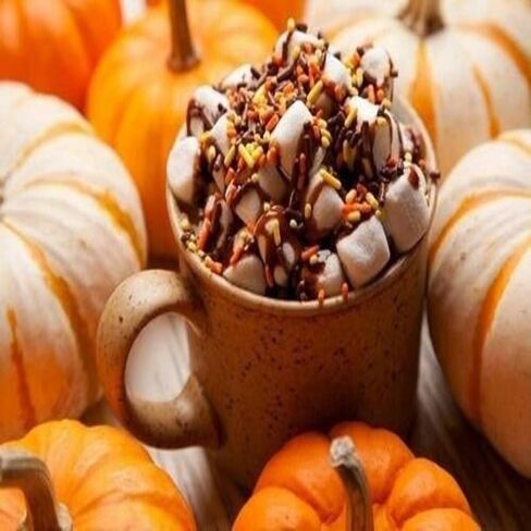 Marshmallow Pumpkin Latte (Our Version of The Brand Name) Fragrance Oil (8 oz Bottle) for Candle Making, Soap Making, Tart Making, Room Sprays, Lotions, Car Fresheners, Slime, Bath Bombs, Warmers in Saudi Arabia