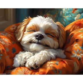 XTXGERL Paint by Numbers, Shih Tzu Snuggling on Pillow, Adult Crafts Adult Paint by Number Kits, Arts Crafts for Home Decor (No Frame,16x20 inch) in Kuwait
