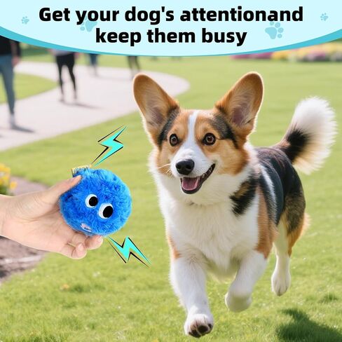 Dog Squeaky Toy, No Stuffing Plush Ball Dog Toy for Small Meduim Breed, Indestructible Puppy Chew Toys for Teething Chewing Interactive Fetch Play to Keep Them Busy, Blue, 3.1Inch in Kuwait