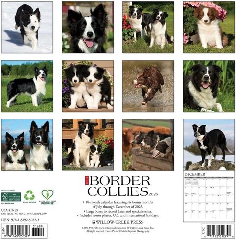 الحدود Collies 2026 12 "× 12" تقويم الجدار in Saudi Arabia