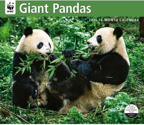 Giant Pandas WWF 2026 تقويم الحائط ، 12.01 '× 14.09' '، تقويم 16 شهر in Saudi Arabia