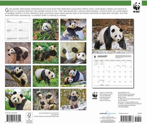 Giant Pandas WWF 2026 تقويم الحائط ، 12.01 '× 14.09' '، تقويم 16 شهر in Saudi Arabia
