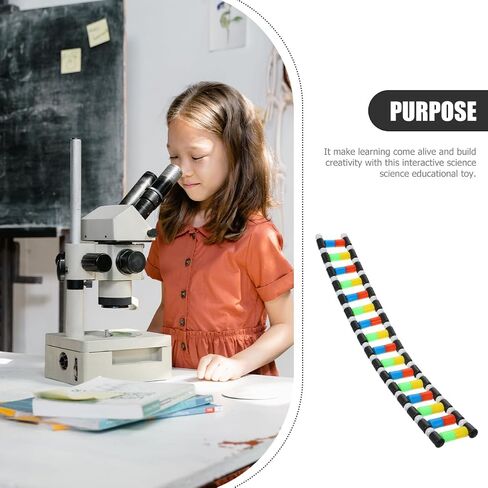 VOSAREA DNA Model Double Helix Model DNA Display Component for Science Teaching Display in Saudi Arabia