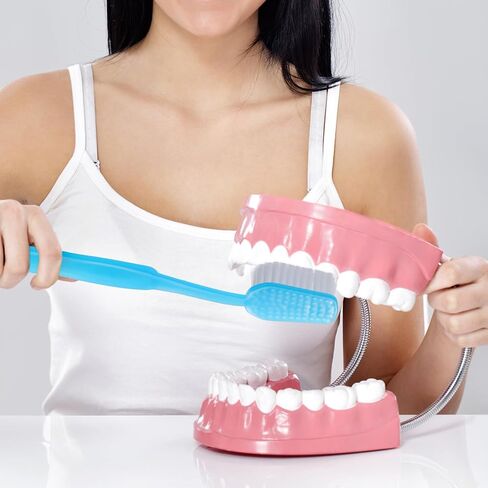 MAGICLULU 2pcs Giant Toothbrush: Oversized Toothbrush Photo Prop for Prank Parties, Stage Performances, Store Displays, and Fun Event Decorations (Red, Blue) in Saudi Arabia
