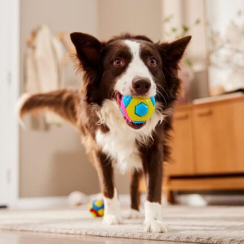 Ruff Dog Toy Balls 3" Hard Yet Soft Gum Massage Nub 8 Interactive Squeak Buttons Colors Vary (2 Balls) in Saudi Arabia