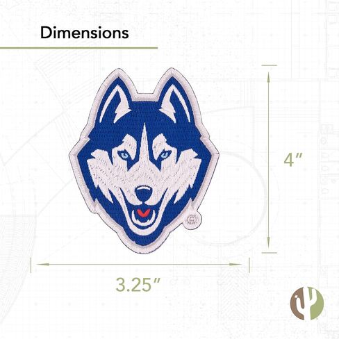 Desert Cactus University of Connecticut Patch - الحديد المطرز على/خياطة على التزيين للحلل والسترات والظهر على الظهر والحقائب والقبعات والمعدات التكتيكية - UConn Connecticut Huskies (التصحيح - التصميم B) in Saudi Arabia