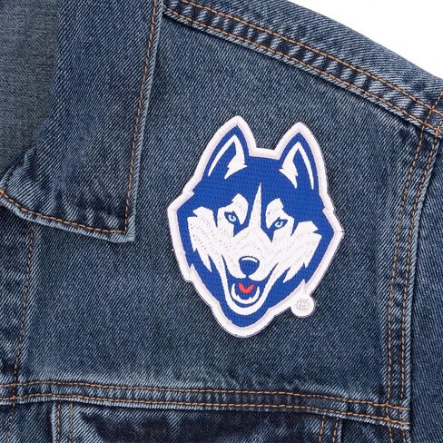 Desert Cactus University of Connecticut Patch - الحديد المطرز على/خياطة على التزيين للحلل والسترات والظهر على الظهر والحقائب والقبعات والمعدات التكتيكية - UConn Connecticut Huskies (التصحيح - التصميم B) in Saudi Arabia