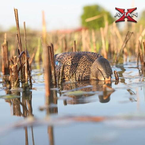 Avian-X AVX-PSH-MHPR: Power Shaker/Mallard Hen Preener in Kuwait