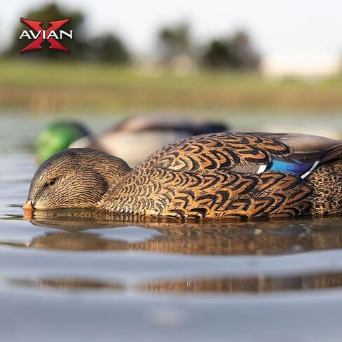 Avian-X AVX-PSH-MHPR: Power Shaker/Mallard Hen Preener in Kuwait
