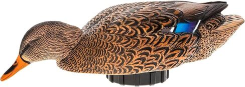 Avian-X AVX-PSH-MHPR: Power Shaker/Mallard Hen Preener in Kuwait