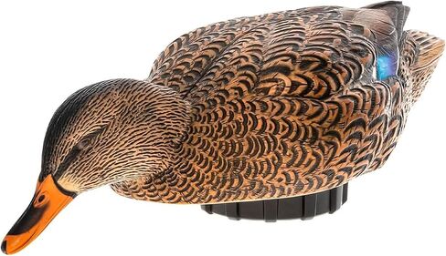 Avian-X AVX-PSH-MHPR: Power Shaker/Mallard Hen Preener in Kuwait