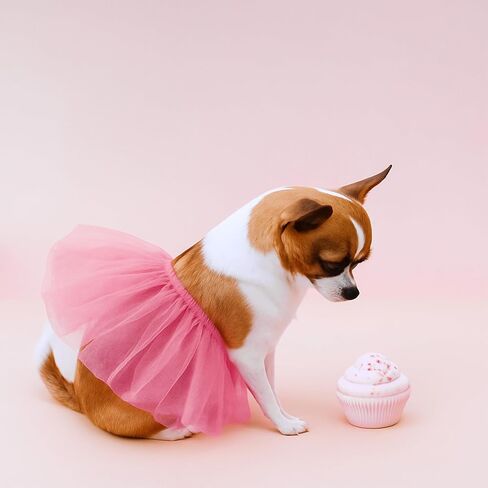 Dog Tutu Pink Tutu for Dogs, Dog Tutus for Small Dogs for Small and Medium-Sized Pets, Suitable for Birthday Parties, Wedding Photo Props Costumes in Saudi Arabia