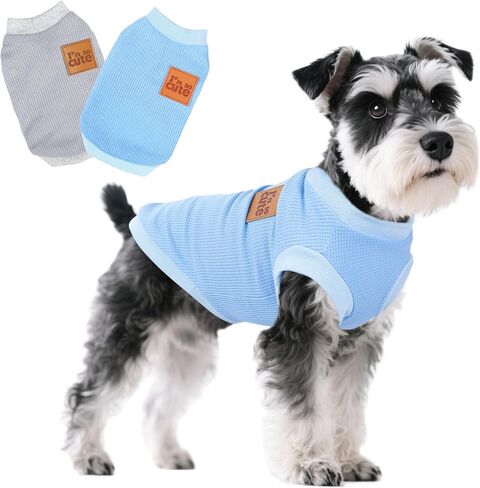 2 Pack Dog Shirt Vest Dog Clothes for Small Dogs Summer Waffle Puppy T-Shirts Soft Sleeveless Pet Clothes Lightweight Medium Large Doggy Outfit Cat Clothing (Blue+Grey, Small) in Kuwait