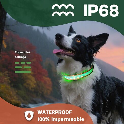 DOGWONG LED Dog Collar - Fall Orange Plaid Heavy Duty Light up Dog Collars - Rechargeable Waterproof - Lighted Dog Collars for Night Walking, Hiking, Camping(Orange Plaid,L) in Saudi Arabia