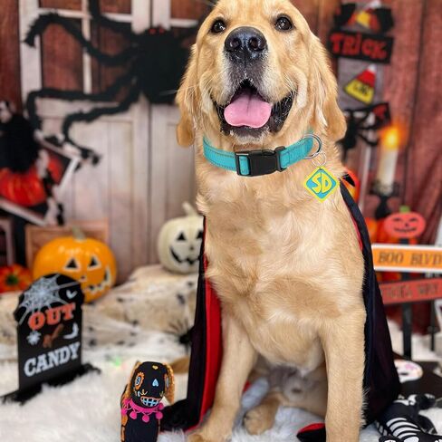 Dog Halloween Costumes, Nylon Adjustable Reflective Collar with SD Tags with Vampire Cloak Cape for Large Medium Big Extra Large XL Pet Puppy Dog, Funny Outfits for Dogs Holiday Dress Supplies in Saudi Arabia