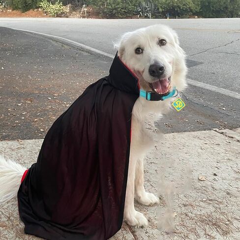 Dog Halloween Costumes, Nylon Adjustable Reflective Collar with SD Tags with Vampire Cloak Cape for Large Medium Big Extra Large XL Pet Puppy Dog, Funny Outfits for Dogs Holiday Dress Supplies in Saudi Arabia