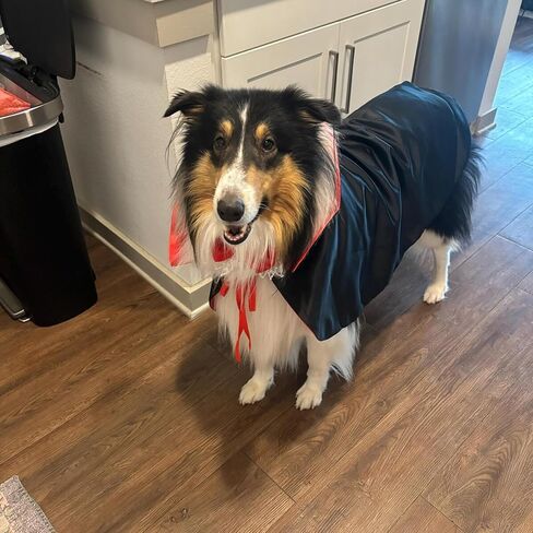 Dog Halloween Costumes, Nylon Adjustable Reflective Collar with SD Tags with Vampire Cloak Cape for Large Medium Big Extra Large XL Pet Puppy Dog, Funny Outfits for Dogs Holiday Dress Supplies in Saudi Arabia