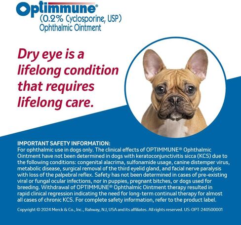 OPTIMMUNE Ophthalmic Ointment, 0.2% Cyclosporine, for Dogs, 3.5gm in Saudi Arabia