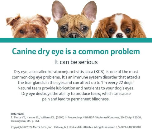 OPTIMMUNE Ophthalmic Ointment, 0.2% Cyclosporine, for Dogs, 3.5gm in Saudi Arabia