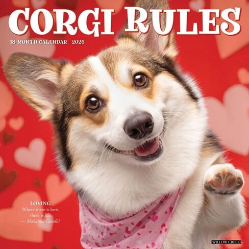 Corgi Rules 2026 12" x 12" Wall Calendar in Saudi Arabia