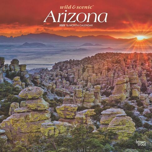 Arizona Wild & Scenic | 2025 12 x 24 Inch Monthly Square Wall Calendar | Plastic-Free | BrownTrout | USA United States of America Southwest State Nature in Saudi Arabia