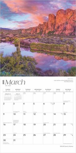 Arizona Wild & Scenic | 2025 12 x 24 Inch Monthly Square Wall Calendar | Plastic-Free | BrownTrout | USA United States of America Southwest State Nature in Saudi Arabia