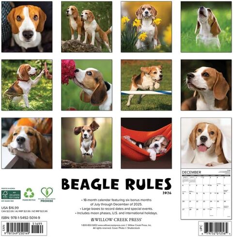 Beagle Rules 2026 12" x 12" Wall Calendar in Saudi Arabia